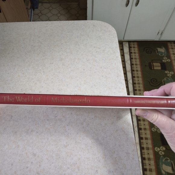 World of Michaelangelo- Time Life Library of Arts - Picture 3 of 9